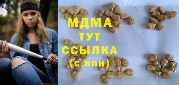 PSILOCYBIN Няндома