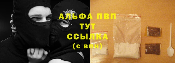 ПСИЛОЦИБИНОВЫЕ ГРИБЫ Новозыбков