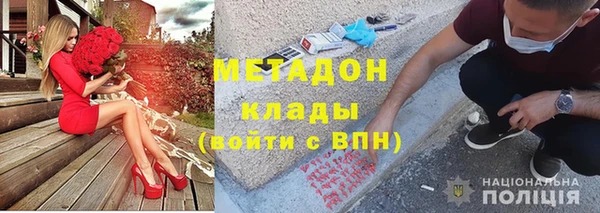 ПСИЛОЦИБИНОВЫЕ ГРИБЫ Новозыбков