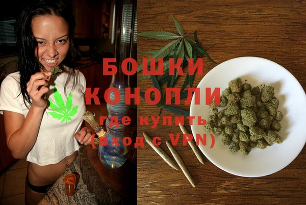 ПСИЛОЦИБИНОВЫЕ ГРИБЫ Новозыбков