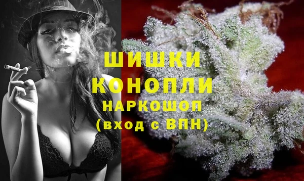 PSILOCYBIN Няндома